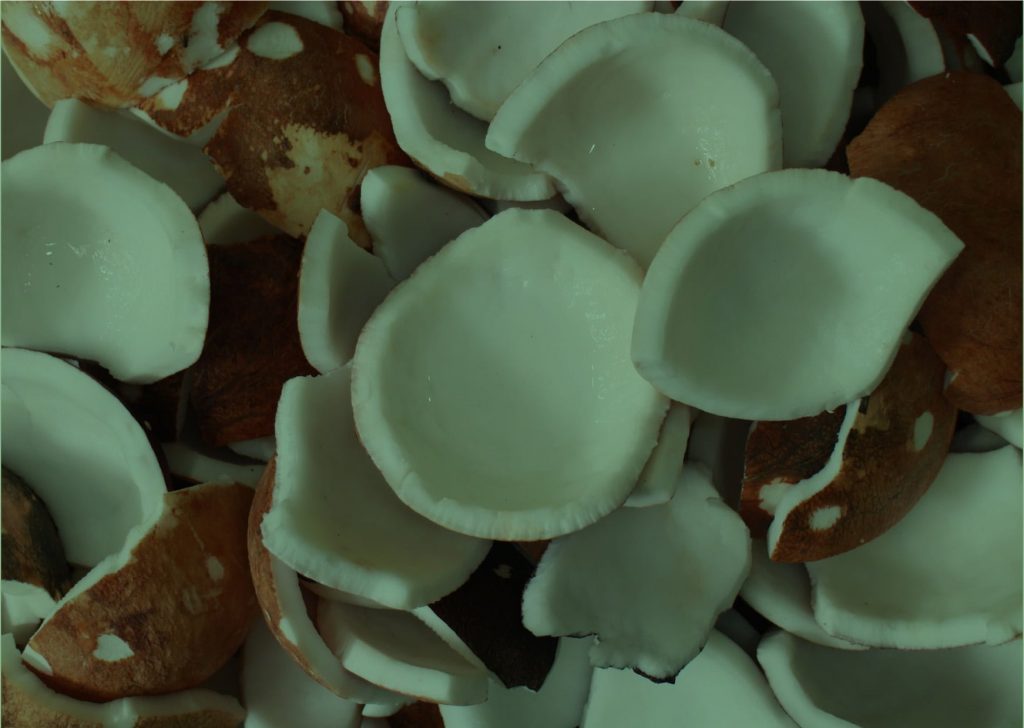 The Story of Javara Coconut Jam