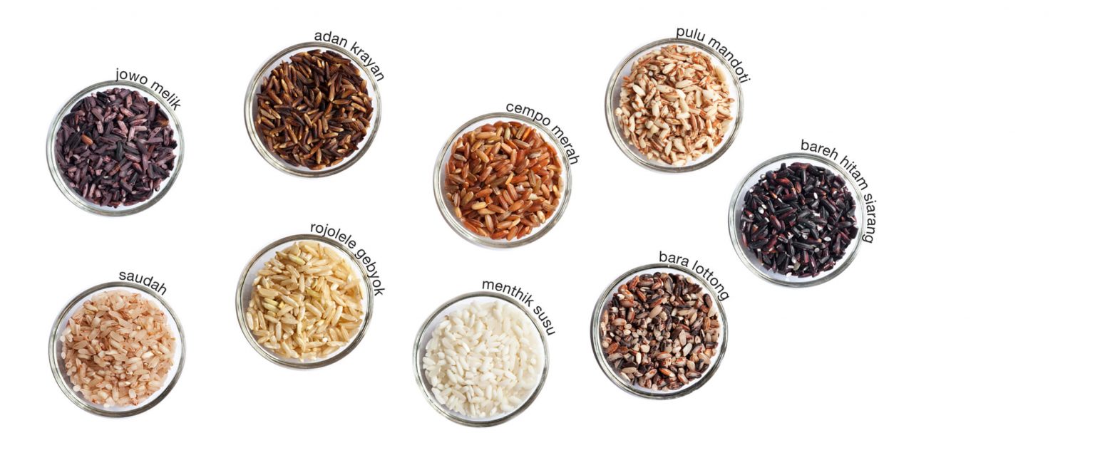 Heirloom Rice : The Forgotten Grains from Indonesia | Javarapedia